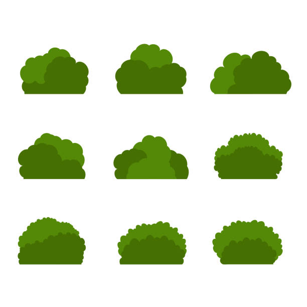 grüner baum, eine vielzahl von formen auf dem weißen hintergrund, set verschiedener baumsets, bäume zum dekorieren von gärten und wohndesigns.vektorillustration und symbol - bush stock-grafiken, -clipart, -cartoons und -symbole