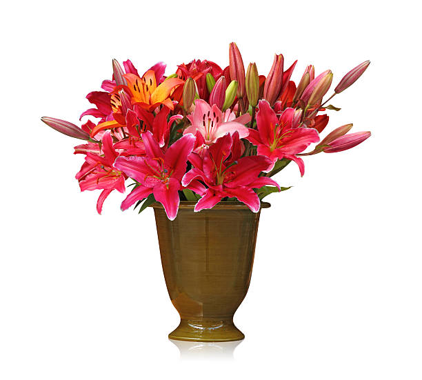 istock Flower bouquet isolated on white background 135375876