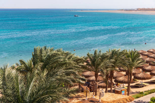 istock A nice sunny day at the Red Sea 1353759054