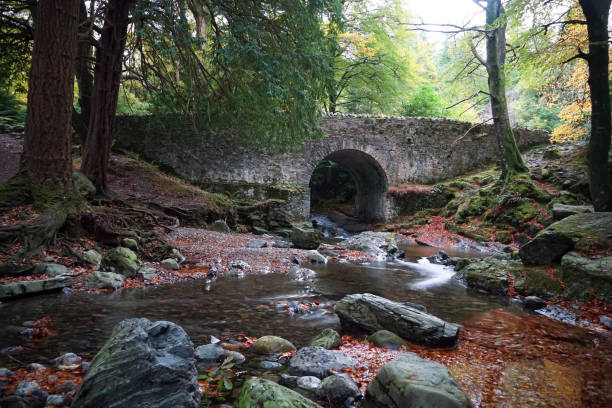 istock Altavaddy Bridge at Tollymore Forest Park 1353760494
