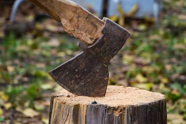 Axe in stump. Axe ready for cutting timber. Woodworking tool. Lumberjack axe in wood, chopping timber. Travel, adventure, camping gear, outdoors items Axe in stump. Axe ready for cutting timber. Woodworking tool. Lumberjack axe in wood, chopping timber. Travel, adventure, camping gear, outdoors items. axe stump stock pictures, royalty-free photos & images