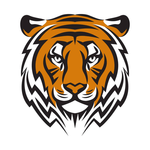 tigerkopf, vektorillustration, stilisiertes logo mit tigerkopf, symbol des jahres 2022, sportmaskottchen. lineare silhouette eines raubtiers - tiger stock-grafiken, -clipart, -cartoons und -symbole