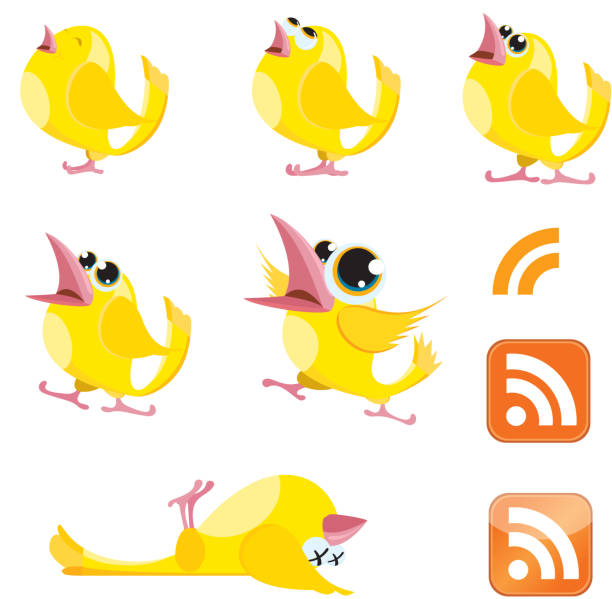 Talking Canaries and RSS symbol vector art illustration