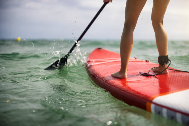 teenage girl is enjoying the sup paddleboard on summer christmas - paddle surfing stockfoto's en -beelden