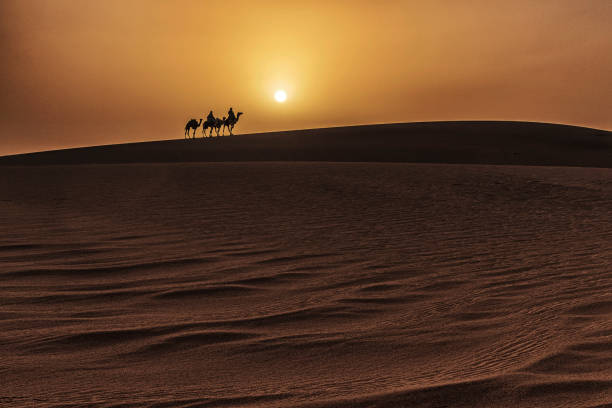 istock Crossing the Algerian desert 1353772466