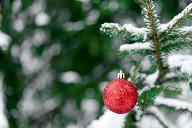 istock Christmas red bauble hanging on Christmas tree branch covered with snow. Outside. Winter Sunny Day. Selective focus. 1353774583