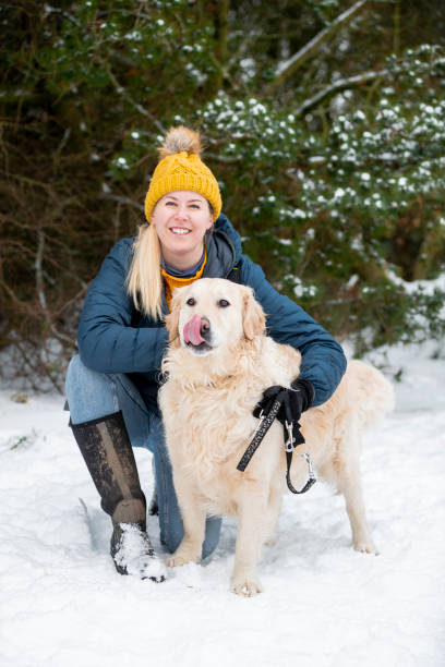 istock I Love Dogs 1353775660