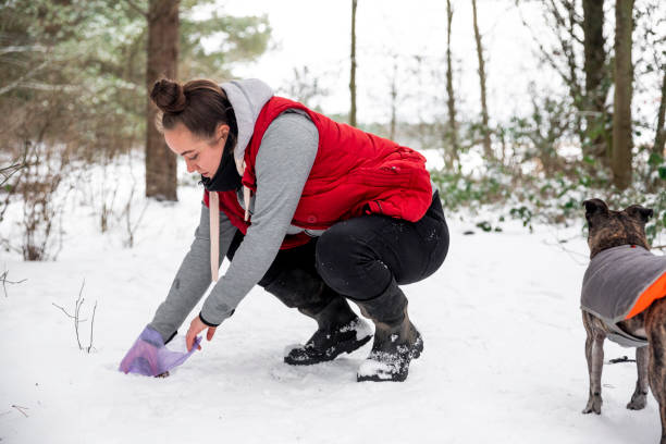 Cleaning Up After The Dogs A close-up side view of a responsible female dog walker cleaning up after her dogs as she takes them for a walk on a snowy winters day. She's wrapped up nice and warm and is wearing Wellington boots. topknot stock pictures, royalty-free photos & images