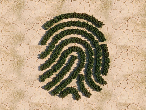 Forest in shape of human fingerprint on dry zone, top view, (3d render)