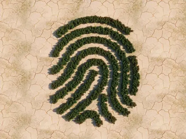 Photo of Fingerprint Forest