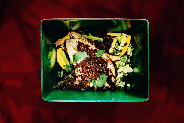 vegetable compost with tea leaves - rotting banana vegetable fruit imagens e fotografias de stock