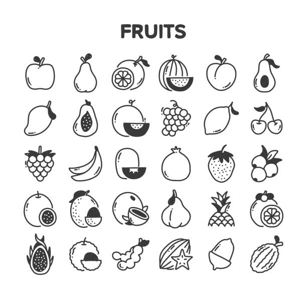 illustrations, cliparts, dessins animés et icônes de ensemble d’icônes vector doodle dessiné à la main lié aux fruits - fruit drawing watermelon pencil drawing