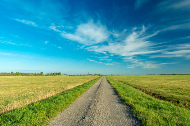 istock Gravel road through meadows and blue sky 1353783539