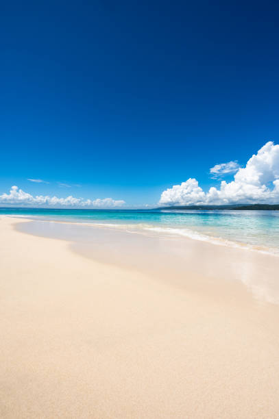istock paradise beach bacardi island 1353783787