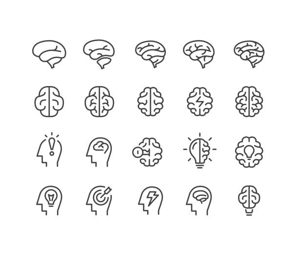 Human Brain Icons - Classic Line Series Editable Stroke - Human Brain - Line Icons brain damage stock illustrations