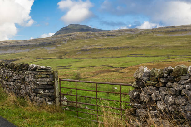 Twistleton Dale above Ingleton Waterfall Trail 30.10.21 Ingleton, North Yorkshire, UK. Farm buildings in Twistleton Dale between Ingleton and Chapel le Dale below Ingleborough in the Yorkshire Dales ingleborough stock pictures, royalty-free photos & images
