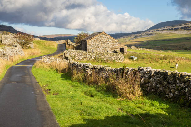 Twistleton Dale above Ingleton Waterfall Trail 30.10.21 Ingleton, North Yorkshire, UK. Farm buildings in Twistleton Dale between Ingleton and Chapel le Dale below Ingleborough in the Yorkshire Dales ingleborough stock pictures, royalty-free photos & images