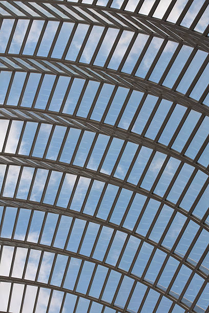 istock Arched glass roof with clouds 135378970