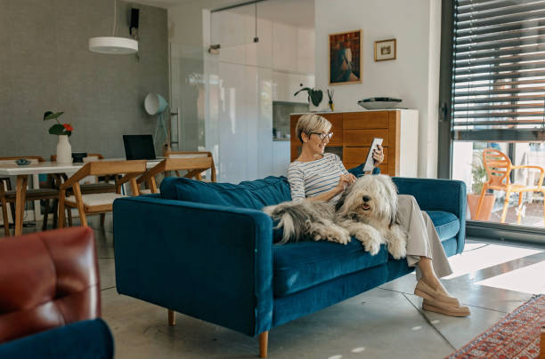 istock Enjoying a day at home with dog 1353790270