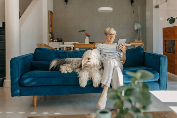 istock Enjoying a day at home with dog 1353790304