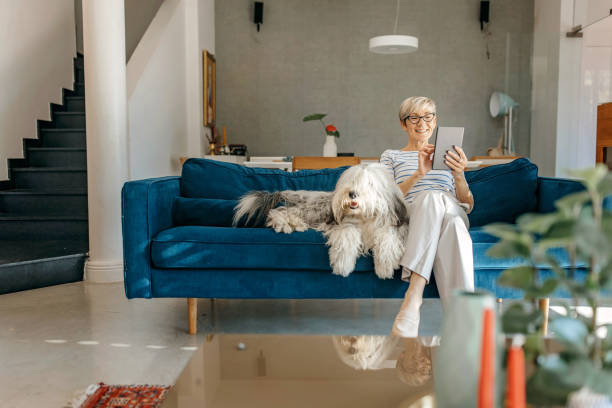 istock Enjoying a day at home with dog 1353790321