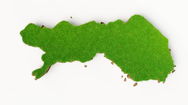 istock Finland Map Grass and ground texture 3d illustration 1353790349