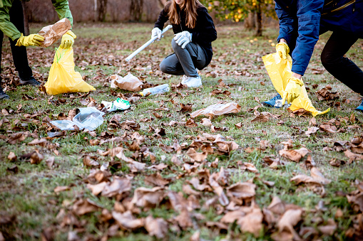 People cleaning and collecting garbage outdoors in the Park field. Volunteers picking up the trash from grass in autumn day. Copy space