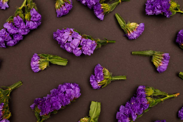 istock Flowers composition & beautiful blooming flowers on paper background 1353791740
