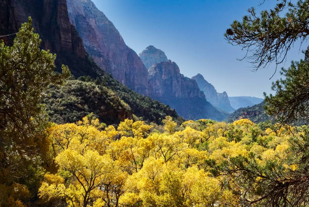 istock Zion National Park in the fall 1353793474