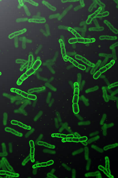 streptokokken-pneumonie-bakterienzellen. 3d-render mikroskopischer hintergrund - coccus stock-fotos und bilder
