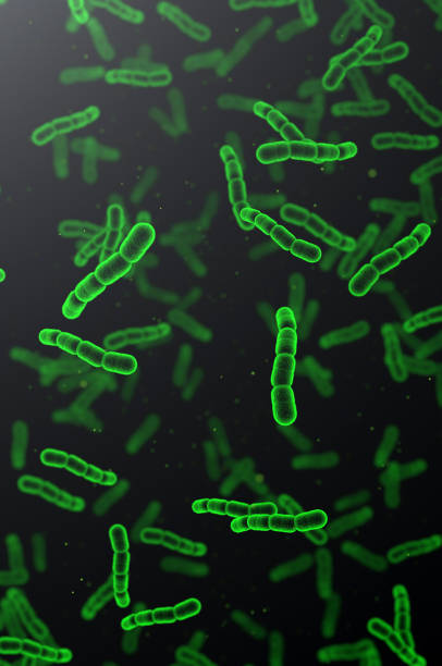 cellule batteriche della polmonite da streptococco. rendering 3d sfondo microscopico - coccus foto e immagini stock