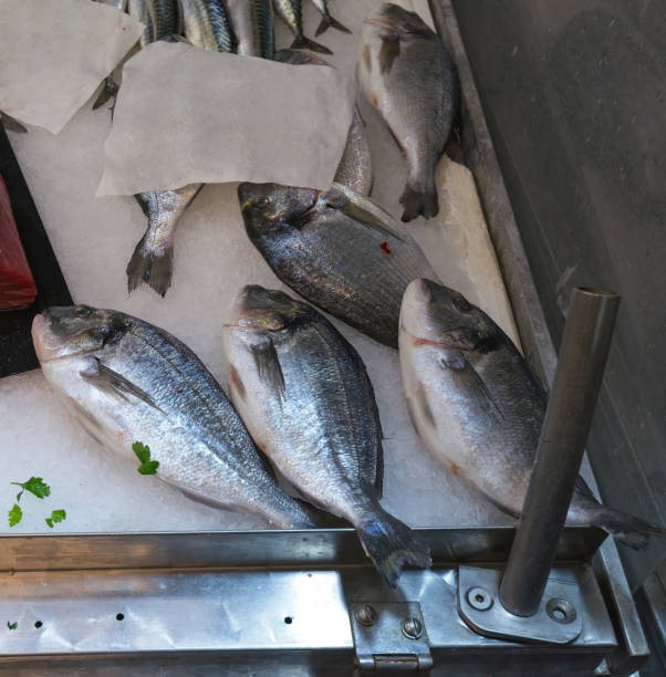 istock fish at market in la spezia 1353800133