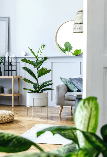 istock Stylish living room interior with design grey sofa, coffe table, pouf, basket, shelf, mirror, tropical plants, decoration, carpet, pillows and elegant personal accessories in modern home decor. 1353806012