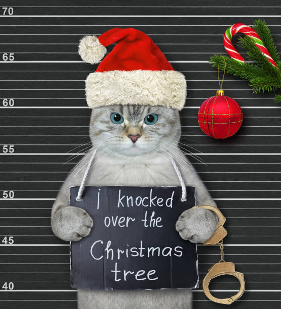 istock Cat ashen knocked over Christmas tree 1353806853