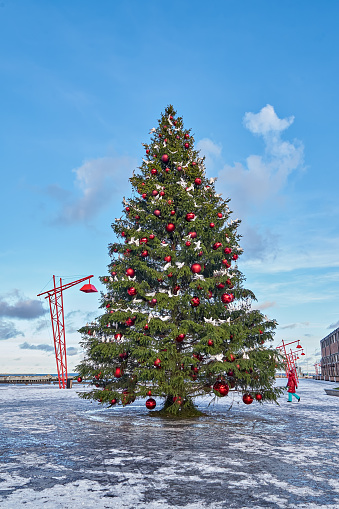 Natural Christmas tree decorated red Xmas baubles and white birds on town square. Modern city Christmas concept