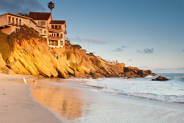 House on cliffs with playing dogs Luxurious house on cliffs in Southern California beach with playing dogs on the beach at sunset laguna beach california photos stock pictures, royalty-free photos & images