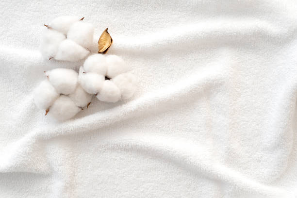 白いテリータオルの表面に綿の花。タオルをテクスチャーや背景に清掃します。トップビュー。 - タオル ストックフォトと画像