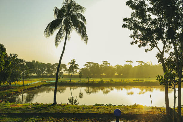 istock When Sunshine hits the Earth 1353817887