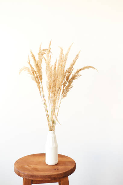 istock Branches of pampas grass in vase on light background. Interior decoration 1353818619