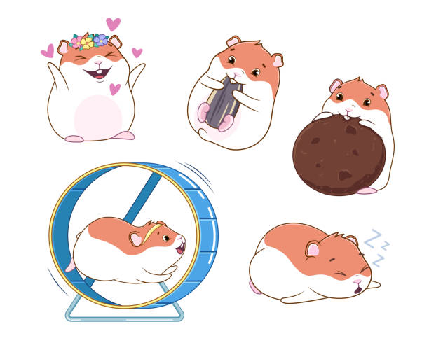 Hamster, set of illustrations vector art illustration