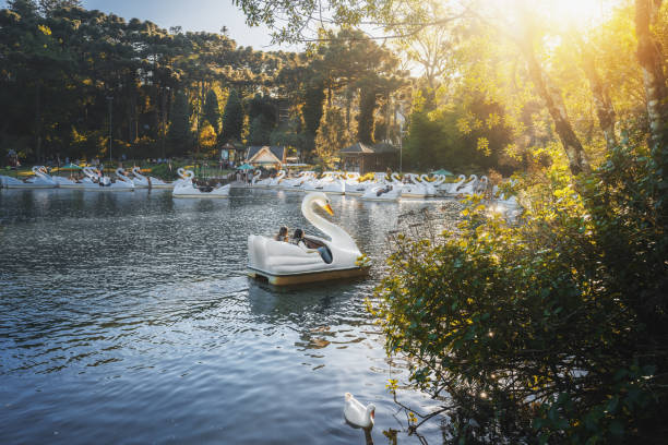 lago negro park (schwarzer see) und swan tretboote - gramado, rio grande do sul, brasilien - pedal boat stock-fotos und bilder