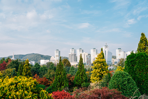 View of Hanbat Arboretum and modern buildings at autumn in Daejeon, Korea
