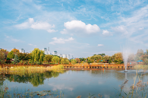 Hanbat Arboretum, Pond and forest at autumn in Daejeon, Korea