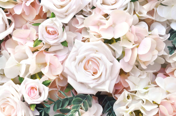 istock Artificial light pink and white roses frame, festive flowers background, floral card 1353832443