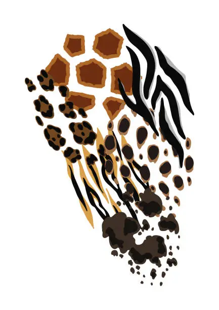 Vector illustration of Background with decorative animal print. African savannah fauna stylized ornament, fur texture.