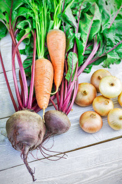 istock Still life of of vegetable Root crop 1353834312