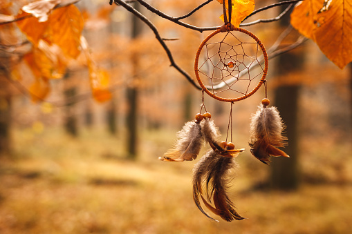 Dreamcatcher hanging on branch in autumn forest. Spirituality amulet and good dreaming symbol