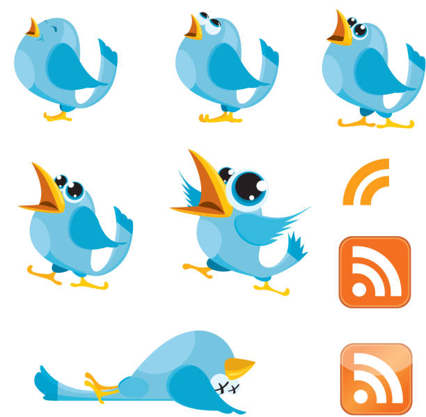 Tweeting, Talking Bluebirds and RSS symbol vector art illustration