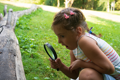 Exploring girl with magnifying glass in nature