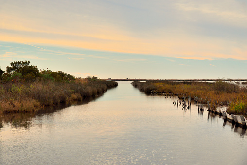 A boat canal  in the Deal Island Wildlife Management Area, Maryland to provide marsh access for hunters and fishermen and fisherladies too.